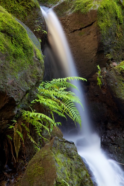 Nu'uanu Stream